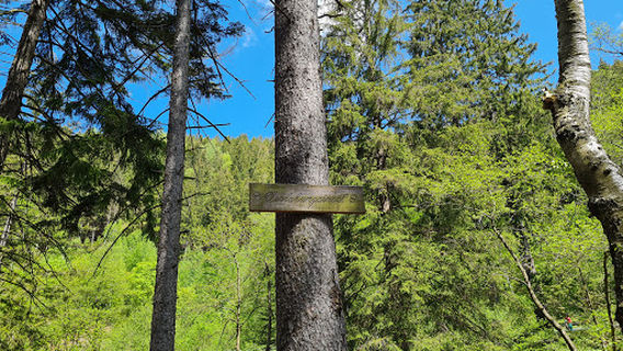 Stempelstelle HWN 116 Engagement island in the Oker