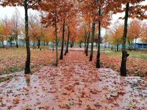 Lazo Park - باخچەی لازۆ