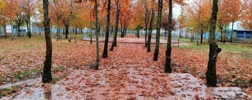 Lazo Park - باخچەی لازۆ