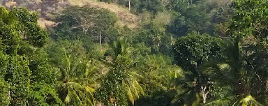 Sunil S. Abeysundara Playground