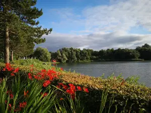 Naturbad Ladelund