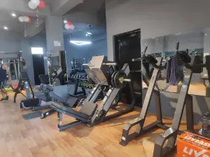 MUSCLE X GYM VIJAYPUR