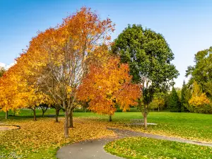 Edgewater Park