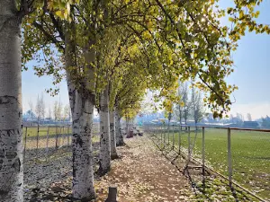 Abel Bouchon Park Access