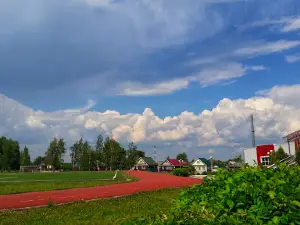 Fok "Arena"