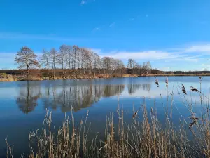 Niederspreer Teichgebiet und Kleine Heide Hähnichen