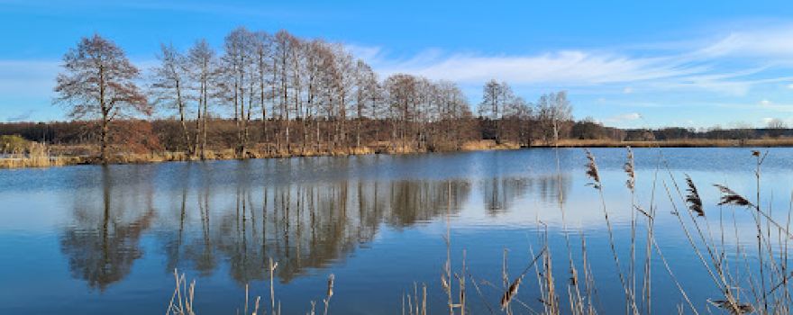 Niederspreer Teichgebiet und Kleine Heide Hähnichen