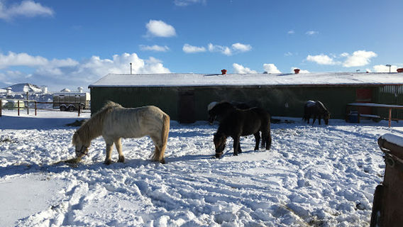 Grindavik