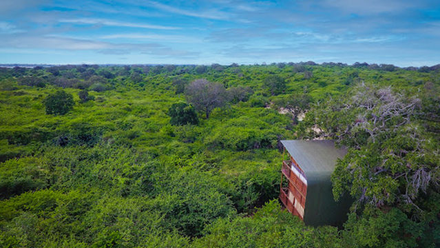 Leopard Nest - Glamping in Yala