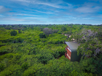 Leopard Nest - Treehouse Safari in Yala