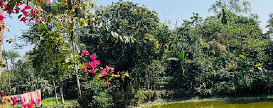 মাস্টার বাড়ি।। Master Bari।। কান্দুলিয়া