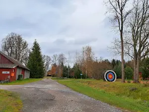 Anne Tuuliku vibulaskmine