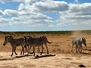 Addo Elephant National Park - South Gate - Mathyolweni Gate
