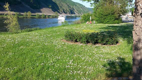 Cochem