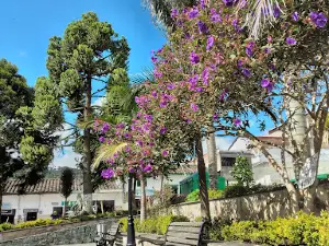 San José de la Montaña Park