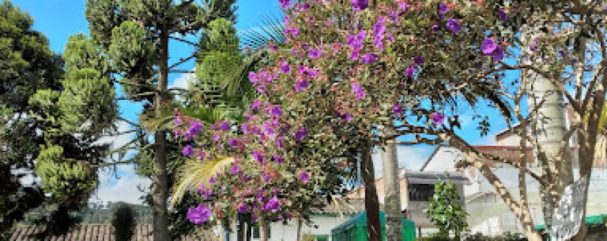 San José de la Montaña Park
