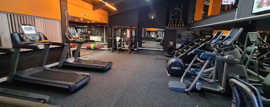 Evolution Fitness