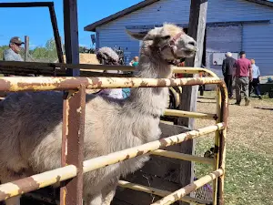 Queens County Fair, Village of Gagetown