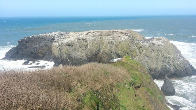 Agate Beach Neighborhood and Dog Park