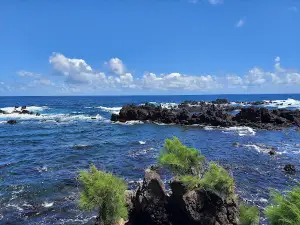 Laupāhoehoe Point