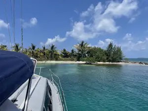 Daytripper Catamaran Tours