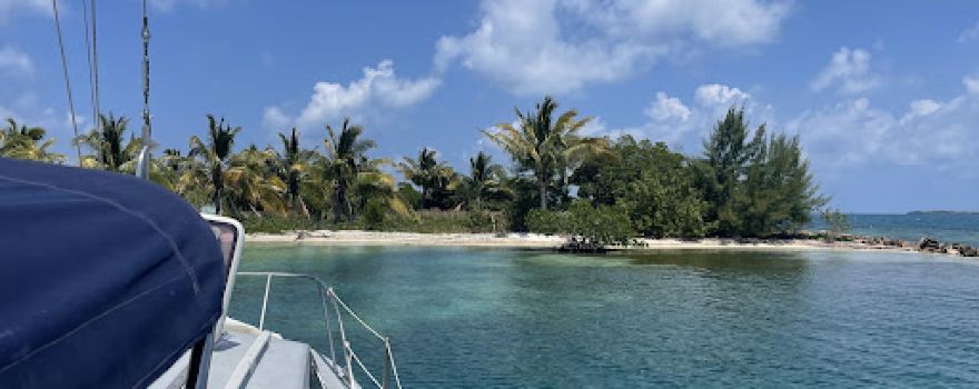 Daytripper Catamaran Tours