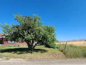 Napoleon Dynamite House