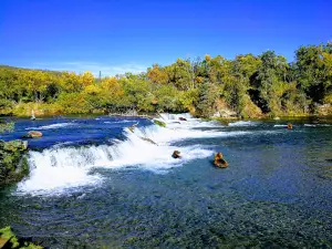 Brooks Falls Bear Viewing Platform