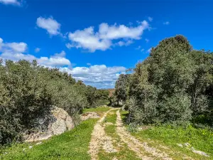 Ingresso per Necropoli a Domus de Jana's di Ludurru
