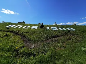 Макет паровоза