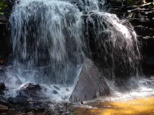 Loyalsock Trailhead Dutchman Falls