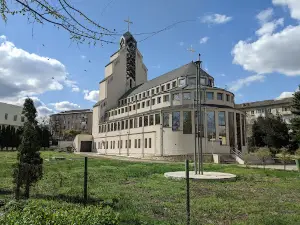 Mihai Volontir Central Park