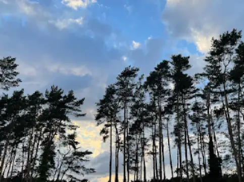 Campingplatz Niemeyer