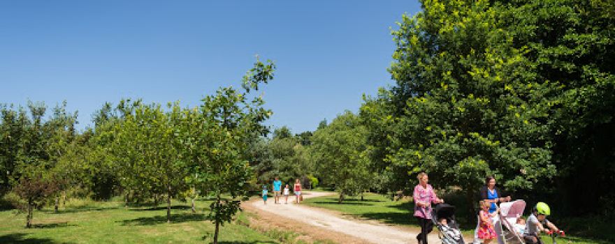 Arboretum de Carnivet