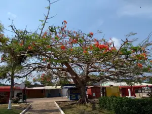 Of the Three Powers Square