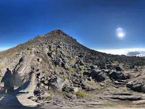 Mt Pico
