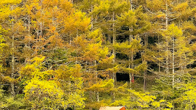 千代田湖キャンプ場 Nature Service Outdoor Points