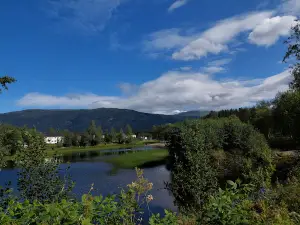 Svartebukta
