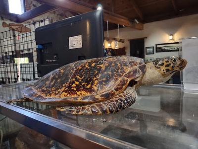 Museo Histórico de Culebra "El Polvorín"