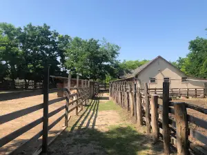 Teve Farm és állatsimogató