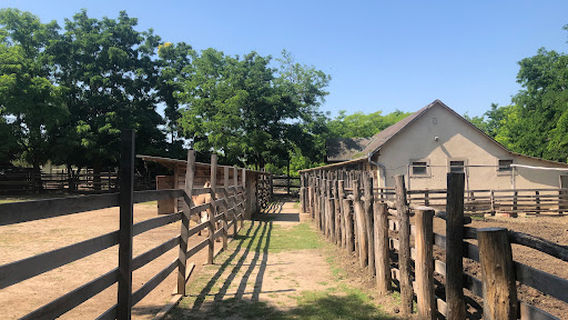 Teve Farm és állatsimogató