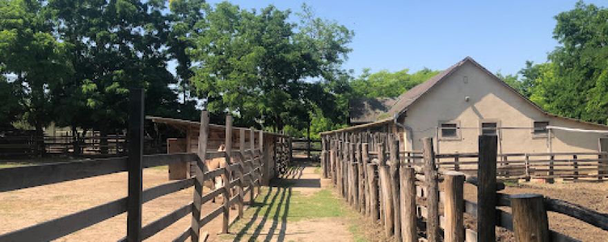 Teve Farm és állatsimogató