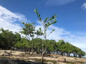 Playa El Salado