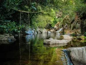 Baloiço do Bestança