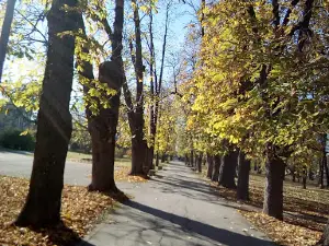 Gradski Bioskop Centar