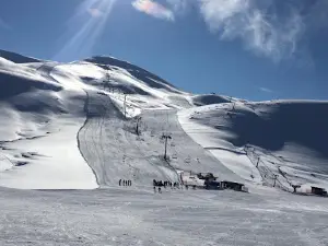 Bingol Ski Center of insects