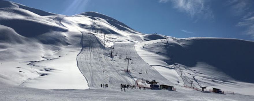 Bingol Ski Center of insects