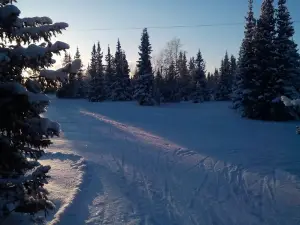 Лыже-роллерная Трасса