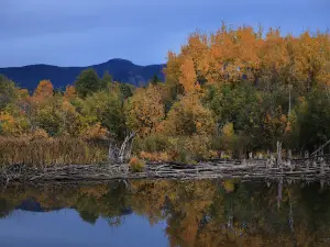 Duck Pond Walking Trails