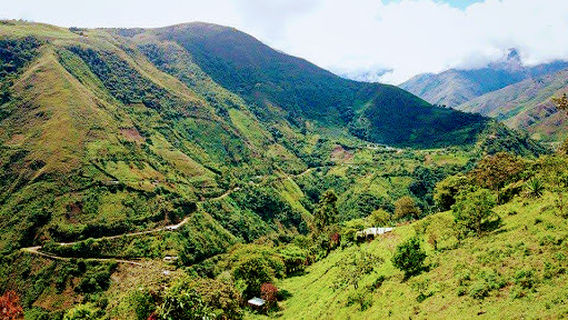 municipal de Argelia Park